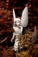Angel - fairy blessings